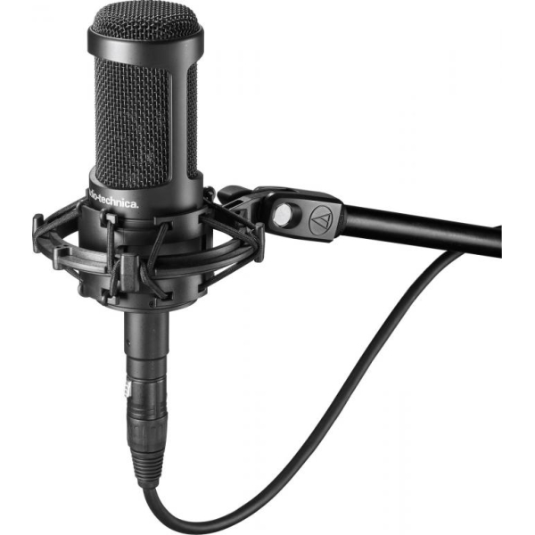 Audio technica at2050 condenser microphone